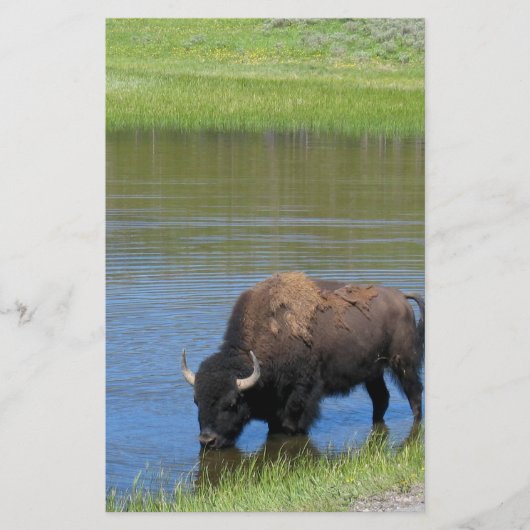 Yellowstone Buffalo Souvenir Briefpapier (Voorkant)