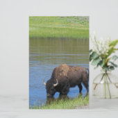 Yellowstone Buffalo Souvenir Briefpapier (Staand voorkant)