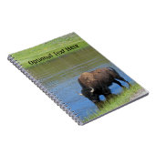 Yellowstone Buffalo Souvenir Notitieboek (Rechterzijde)