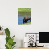 Yellowstone Buffalo Souvenir Poster (Thuiskantoor)