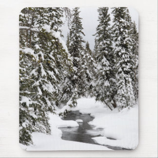 Yellowstone Cold River Muismat
