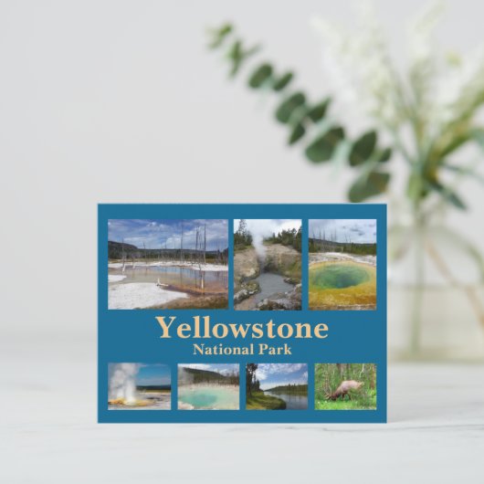 Yellowstone Collage 3 Briefkaart (Staand voorkant)