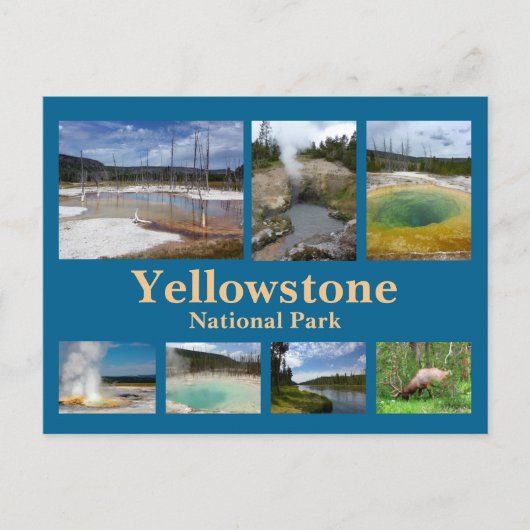 Yellowstone Collage 3 Briefkaart (Voorkant)