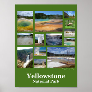 Yellowstone Collage (portret) Poster