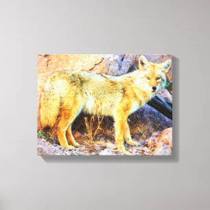 Yellowstone Coyote Canvas Afdruk