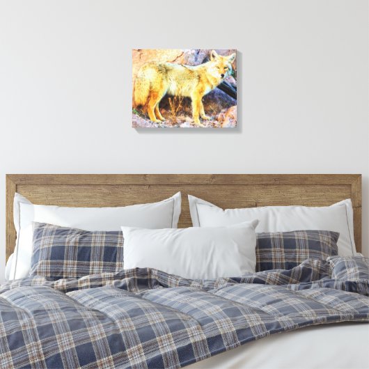 Yellowstone Coyote Canvas Afdruk (Insitu (Slaapkamer))