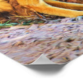 Yellowstone Coyote Poster (Hoek)