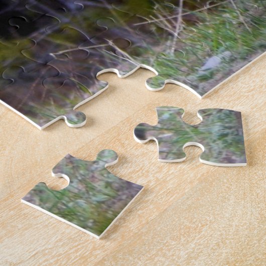 Yellowstone - Curieuze Coyote - 20x30 - 1014 pcs. Legpuzzel (Zijkant)