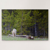 Yellowstone - Curieuze Coyote - 20x30 - 1014 pcs. Legpuzzel (Horizontaal)