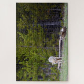 Yellowstone - Curieuze Coyote - 20x30 - 1014 pcs. Legpuzzel (Verticaal)