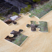 Yellowstone - Curious Coyote - 11x14 - 252 pcs. Legpuzzel (Zijkant)