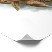 Yellowstone Cutkeel-forel afdrukken