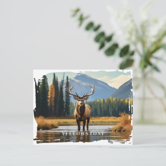 Yellowstone Elk Briefkaart (Staand voorkant)
