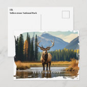 Yellowstone Elk Briefkaart (Voorkant / Achterkant)