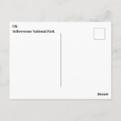 Yellowstone Elk Briefkaart (Achterkant)