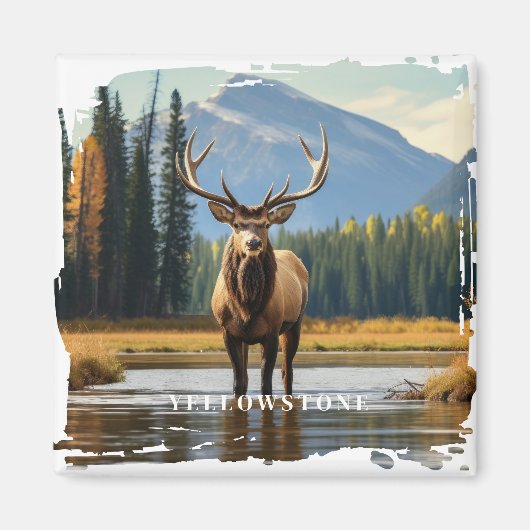 Yellowstone Elk Magneet (Voorkant)