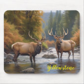 Yellowstone Elk-Muismat Muismat (Voorkant)
