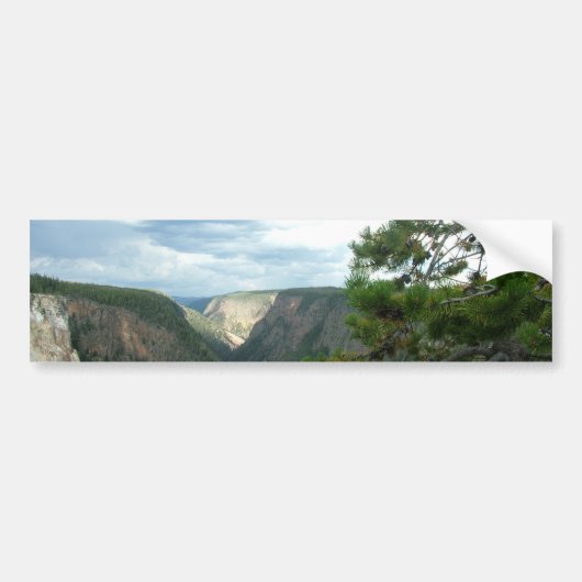 Yellowstone-fotografie, shows water-herfsten, bome bumpersticker (Voorkant)