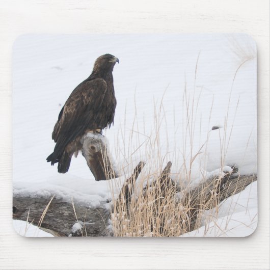 Yellowstone Golden Eagle Muismat (Voorkant)