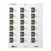 Yellowstone Grand Canyon Etiket (Full Sheet)