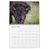 Yellowstone & Grand Teton National Parks 2012 Kalender (Feb 2027)