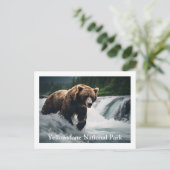 Yellowstone Grizzly Beer Briefkaart (Staand voorkant)