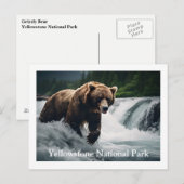 Yellowstone Grizzly Beer Briefkaart (Voorkant / Achterkant)