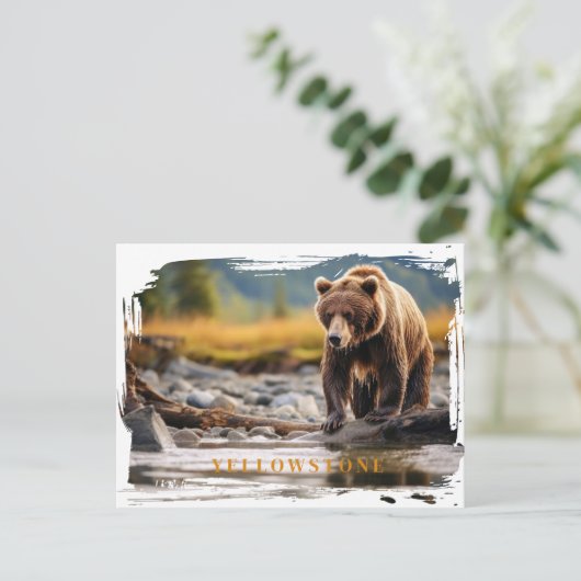 Yellowstone Grizzly Beer Briefkaart (Staand voorkant)