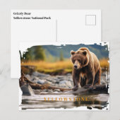 Yellowstone Grizzly Beer Briefkaart (Voorkant / Achterkant)