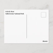 Yellowstone Grizzly Beer Briefkaart (Achterkant)