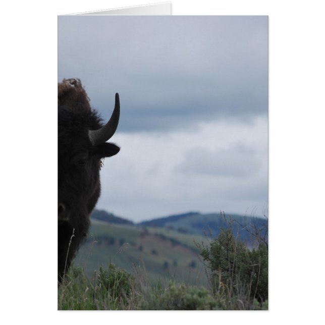 Yellowstone Guardian (Voorkant)