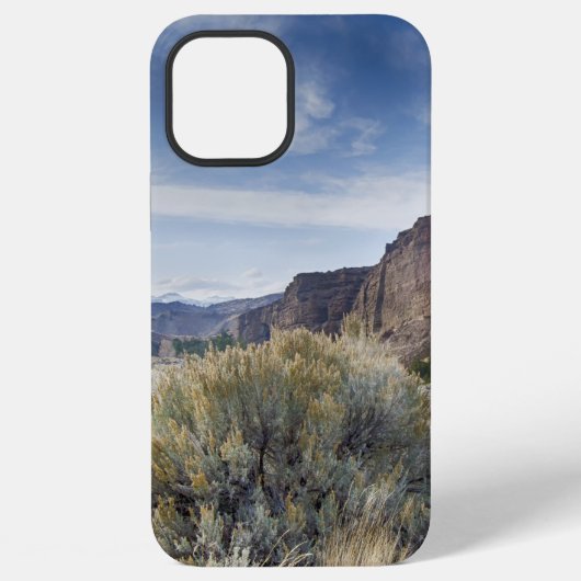 Yellowstone iPhone Hoesje (Achterkant)