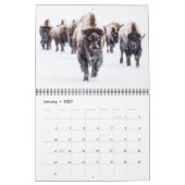 Yellowstone-kalender Kalender (Jan 2027)