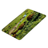 Yellowstone Magneet (Linkerzijde)