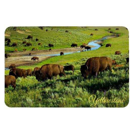 Yellowstone Magneet (Horizontaal)