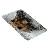 Yellowstone Magnet-Beer Magneet (Rechterzijde)