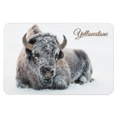 Yellowstone Magnet-Buffalo Magneet (Horizontaal)