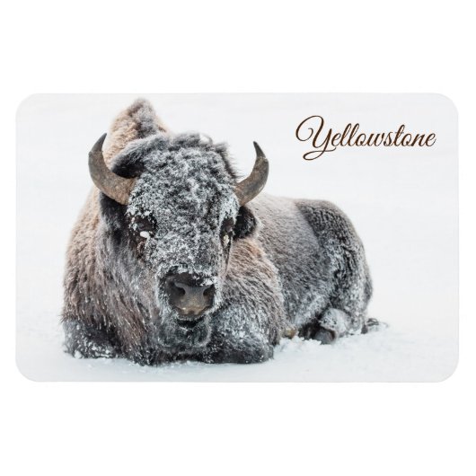 Yellowstone Magnet-Buffalo Magneet (Horizontaal)