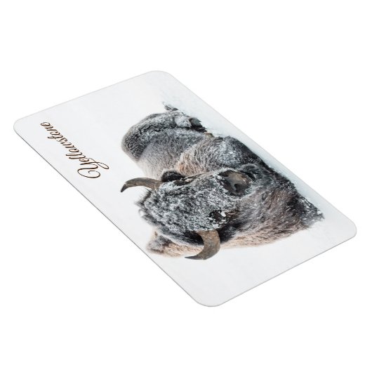 Yellowstone Magnet-Buffalo Magneet (Rechterzijde)