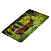 Yellowstone Magnet-Deer Magneet (Linkerzijde)