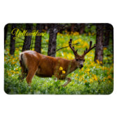 Yellowstone Magnet-Deer Magneet (Horizontaal)