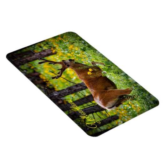 Yellowstone Magnet-Deer Magneet (Rechterzijde)