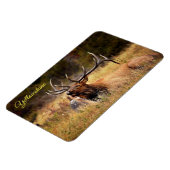 Yellowstone Magnet-Elk Magneet (Linkerzijde)