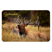 Yellowstone Magnet-Elk Magneet (Horizontaal)