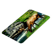 Yellowstone Magnet-Elk Magneet (Linkerzijde)