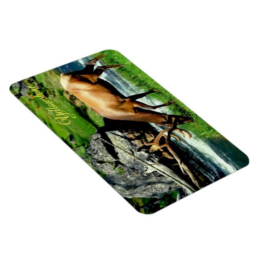Yellowstone Magnet-Elk Magneet (Rechterzijde)