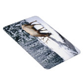 Yellowstone Magnet-Elk Magneet (Rechterzijde)