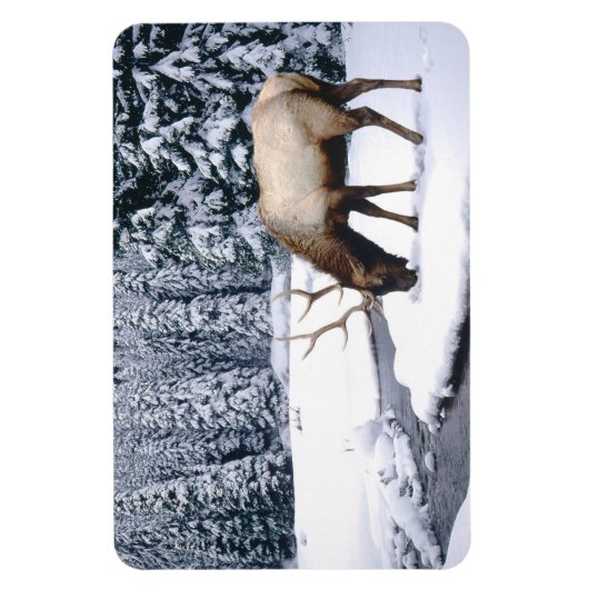 Yellowstone Magnet-Elk Magneet (Verticaal)