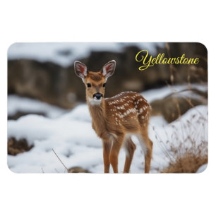 Yellowstone Magnet-Fawn Herten Magneet