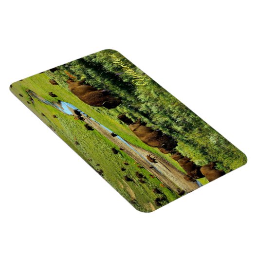 Yellowstone Magnet Magneet (Rechterzijde)